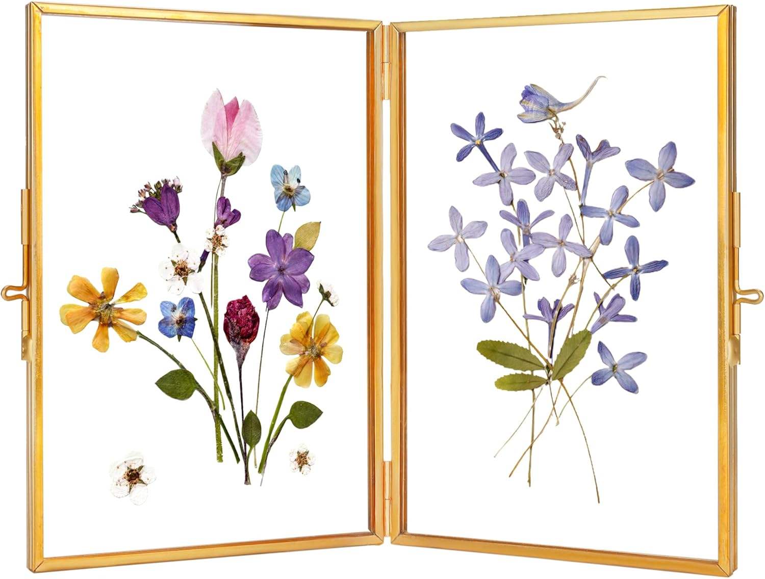 ตามที่แสดง