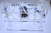 Colonne d'immunoaffinité à la fumonisine | Nettoyage rapide global pour HPLC/ELISA | Certifié FDA/ISO | Récupération élevée | Protocole 5min
