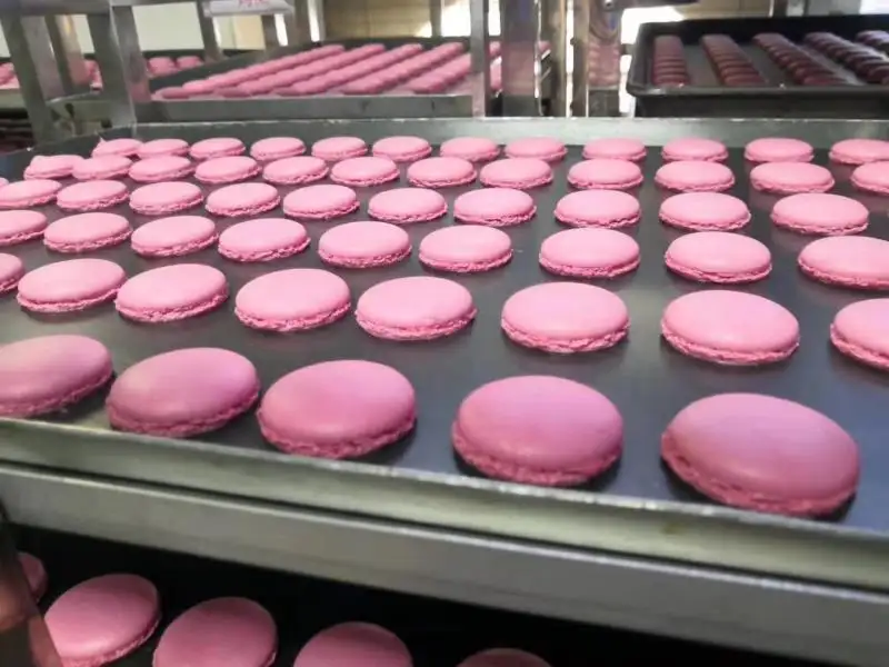 उच्च गति कुकी Macaron Macaron निर्माता कुकी जमाकर्ता मशीन बनाने की मशीन बनाने