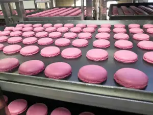 Mesin Pembuat Kue Macaron Kecepatan Tinggi Membuat Mesin Penyimpan Kue Macaron