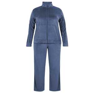 Premium Soft <b>Velour</b> <b>Tracksuit</b> For Women's Two Piece Set Hoodie And Bottoms Ladies Velvet Sport Suit Lounge wear - Product Image 2