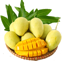 Gouden Mekong Mango Gesneden Reepjes AD Gedroogd met Siroop Natuurlijk Zoet en Zacht 100% Natuurlijk 1kg Vietnam