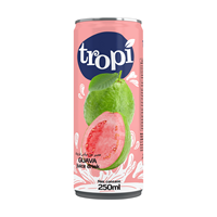 Tropi 250Ml Blik Vers Gemengd Vruchtensap Frisdrank-Vers En Gezond-Private Label Fabrikant Vietnam Custom Logo