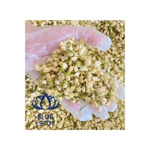 สินค้าขายดี |   ดอกมะลิแห้งสำหรับชงชา ผสมเครื่องดื่ม และเตรียมเครื่องดื่มหอมสำหรับร้านกาแฟในเวียดนาม - Product Image 1