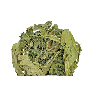 FOURNITURE D'USINE HERBES FEUILLES DE PISSENLIT FEUILLES DE THÉ NATURELLES DE PISSENLIT EN LIGNE - Product Image 4