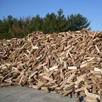 Bois de chauffage séché au four à prix de gros, liège, bouleau, frêne, hêtre, bois sec de qualité pour le chauffage, disponible en Autriche