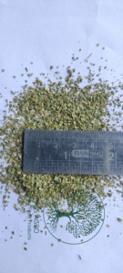 Meilleures ventes Feuille de Moringa séchée (Moringa oleifera) Sachet de thé coupé (à confirmer)/Coupe de thé (T-CUT) avec pour infusions aux herbes en vrac - Product Image 2