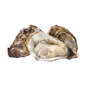 Ostras Kaki Frescas de Granja de Alta Calidad con Concha, Precio Bajo, Paquete a Granel de 25 kg, Almacenamiento Congelado - Product Image 5
