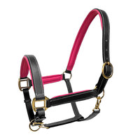 Ensemble d'équipement anglais de qualité supérieure pour endurance, comprenant la bretelle, la bride, les rênes, la peitorale, en similicuir mat, avec corde pour cheval, personnalisable et sur mesure