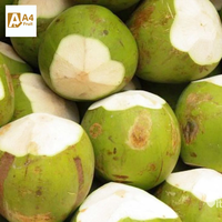 Noix de coco entière jeune thaïlandaise Khey Taladthai, fraîche, avec pulpe sucrée hydratante pour smoothies et usage culinaire, qualité A, 1,2 kg, 18 cm, boîte