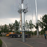 Mât d'antenne tubulaire galvanisé à chaud pour la communication cellulaire