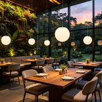 Lustres pour restaurant et bar sur le toit, lustres intérieurs et extérieurs, couleurs personnalisables, lustres et suspensions à intensité variable