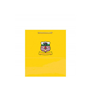 Bolsa de cartón con logotipo personalizado de la mejor calidad para embalaje de regalo y compras Bolsa de papel personalizada para engranajes GAA para manualidades - Product Image 3