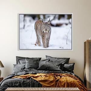 Toile imprimée : Art mural en verre trempé Lynx Cat - Décoration animale hivernale, toile encadrée blanche - Product Image 1