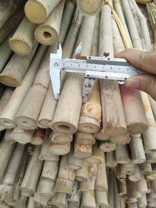 เสาไม้ไผ่ธรรมชาติคุณภาพสูงสำหรับใช้ในการก่อสร้างและตกแต่งสวนกลางแจ้ง - Product Image 4