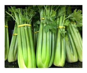 Poudre de céleri de qualité alimentaire naturelle pure 100% aliments et suppléments nutritionnels poudre de jus de céleri - Product Image 2