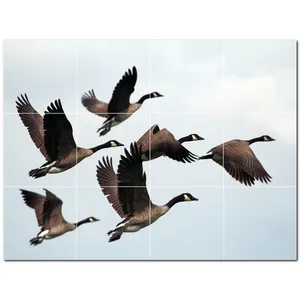 Mural de pared de azulejo de cerámica de pájaro PT500148 17 \ "W X 12,75 \" H Juego de 12 4,25 azulejos cada uno - Product Image 1