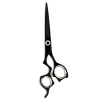Ensemble de ciseaux professionnels pour cheveux en acier inoxydable 6CR13 de 6,5 pouces, ciseaux de coiffure, ciseaux de coupe, ciseaux de salon de beauté