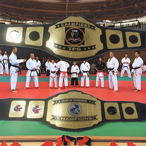 เข็มขัดหนังกังฟูแบบดั้งเดิมของจีน ซับในโพลีเอสเตอร์ สำหรับทุกเพศ สวมใส่สบาย สไตล์ซามูไรพังก์ สำหรับอุปกรณ์กีฬาเทควันโด - Product Image 3