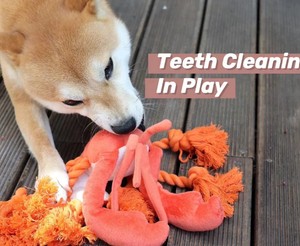Juguete de cuerda de perro langosta, juguete masticable de cachorro hecho a mano, juguete interactivo de langosta chirriante, juguete de cachorro, regalo para perro, regalo de cumpleaños - Product Image 3