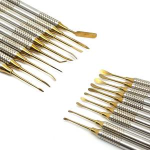 Kit de 10 Piezas de Instrumentos Quirúrgicos Dentales de Acero Inoxidable con Certificación CE, Elevador Perióstico Manual, Separador de Implantes, Peristeel - Product Image 4