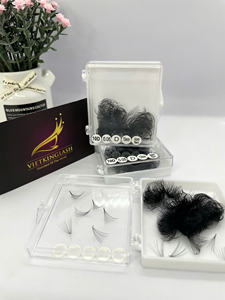 Wholesale 10D Premade <b>Fans</b> Synthetic Hair Lash Trays Natural Volume Cashmere Matte Black 0.07mm <b>Eyelash</b> Extensions Private Label - Product Image 5