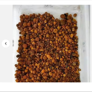 Vente en gros acheter Pierres biliaires de vache/Pierres biliaires de boeuf à vendre - Product Image 1