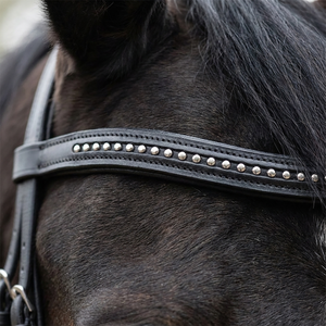 Brida Inglesa Elegante de Cuero Negro con Cristales Plateados, Tamaño Personalizable, Empaque de Calidad Certificada A+, para Caballos Premium - Product Image 1