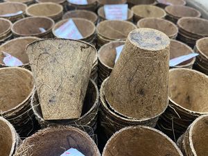 กระถางปลูกมะพร้าวย่อยสลายได้ - Product Image 2