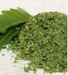 Feuilles de neem indiennes séchées les plus vendues en forme de copeaux pour la préparation du thé, fournisseur de feuilles de neem séchées pour l'extraction d'herbes - Product Image 4