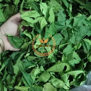 Hojas de lima kaffir secas de nueva cosecha de muy alta calidad, listas para entrega, embalaje OEM, etiqueta personalizada, origen Vietnam. - Product Image 6