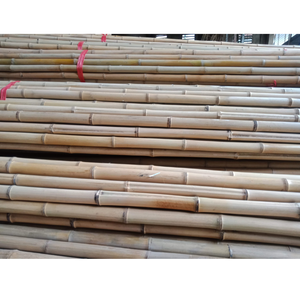 Venta al por mayor de caña de bambú seca a granel de proveedor de Vietnam de buena calidad para exportación - Product Image 1