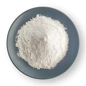 Promosi panas bubuk kapur Calcium carbonate powder kualitas tinggi untuk cat plastik kertas industri