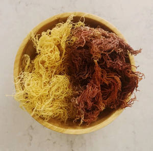 ลดกระหน่ำ!!! สาหร่าย Eucheuma cottonii แบบแห้งจากเวียดนาม/ผลิตภัณฑ์ส่งออกมาตรฐาน - Product Image 3