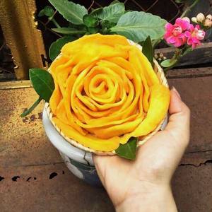 Fruta seca 100% Natura seca de mango Kaew suave y seco de alta calidad orgánica de Vietnam lista para enviar, precio de fábrica al por mayor - Product Image 4