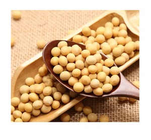 Achetez des graines de soja en vrac, graines de soja pures de haute qualité à vendre, idéales pour la vente en gros, la vente au détail et l'agriculture - Product Image 2