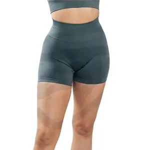 定制制造商健身瑜伽短裤高腰运动服女士批发nvgtn供应商轮廓2.0无缝短裤