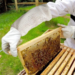 2025 gants d'apiculture cuir de peau de chèvre avec 3 couches maille tissu anti-piqûre gants pour apiculteurs service OEM - Product Image 5