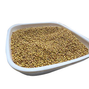 Berseem Clover | Textura suave para consumo animal - Product Image 5