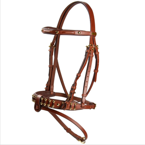 Longe de cheval en cuir de qualité authentique, forme anatomique durable avec un design époustouflant, caractéristique de course, couleur et taille personnalisées - Product Image 1