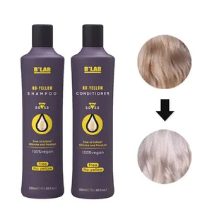 Purple Shampoo Private Label Nourishing Shampoo Color Protect Anti Yellow Hair Care Products