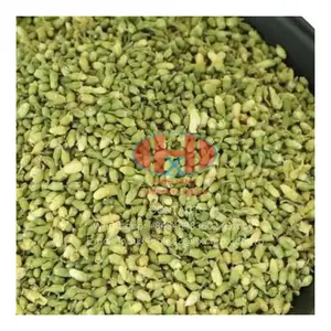 Vietnamese Dried Sophora Japonica Flower - Herbal Infusion Dried Sophora Flower Bud Flower Tea In Bag - Whatsapp +84346383602