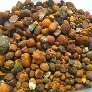 Haute qualité 100% pierres biliaires naturelles de boeuf et de bétail extrait d'animaux de calculs biliaires de vache à vendre - Product Image 1