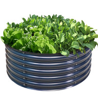 Nouvelle conception de jardinière en fer galvanisé écologique, décoration d'intérieur, pot de fleurs, décoration de jardin, couleur et forme personnalisées
