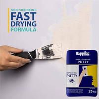 Meilleur enduit mural extérieur en poudre de ciment anti-humidité et anti-fissures à base d'acrylique, enduit blanc pour le lissage des murs