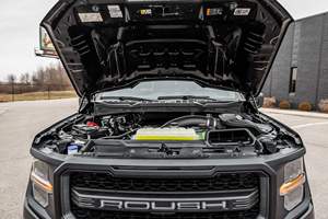 SUPER CLEAN 2025 FOR-D F-150 ROU-SH NITE-MARE 4X4 PRÊT À ÊTRE EXPÉDIÉ - Product Image 6