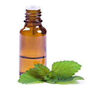 Huile essentielle buchu pure 100% Huile essentielle buchu en gros Huile essentielle buchu pure naturelle - Product Image 6