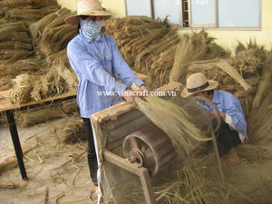 New Grass Broom <b>Raw</b> <b>Material</b> Season - Hight Quality Vietnam Grass Broom <b>Material</b> - <b>Material</b> From Natural - Product Image 6
