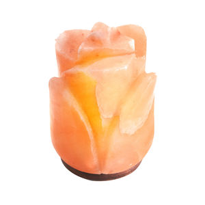 Lampe au sel de l'Himalaya de couleur naturelle de style fleur sculptée par USB fait à la main touche réelle à la mode décor à la maison produit d'artisanat naturel - Product Image 5