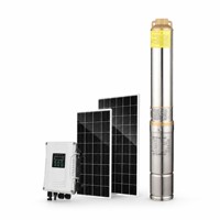Pompe solaire auto-amorçante MPPT DL-LP3-2 12V 24V, pompe à eau CC sans balais en acier inoxydable pour jardin et ferme